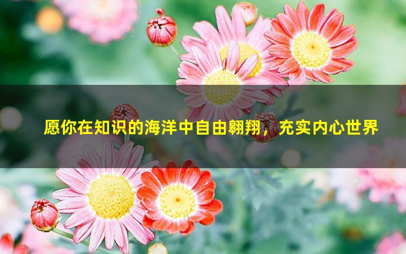 [百度云网盘]【王芳大语文中文素养课】小学语文五年级（上）【部编版】